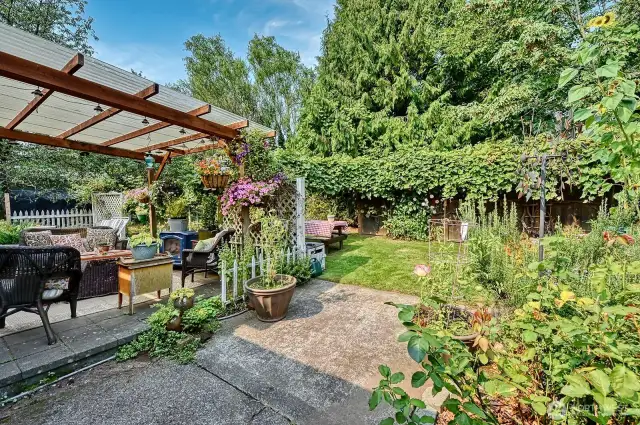 Back patio