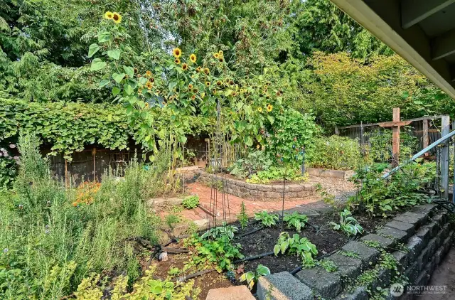 So much garden space!