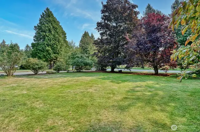 Beautiful, private, level front yard.