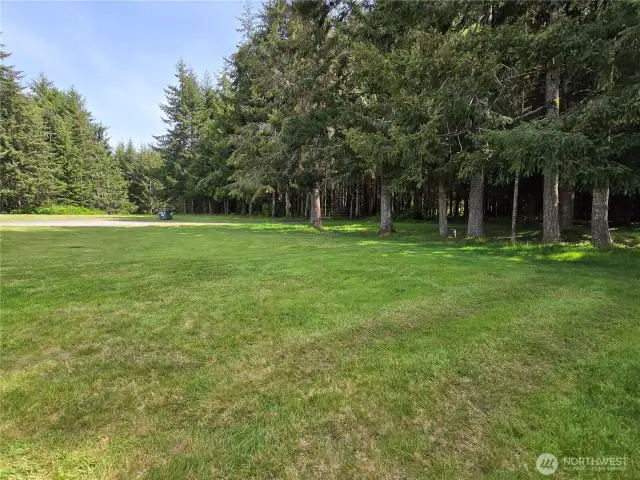 Back yard