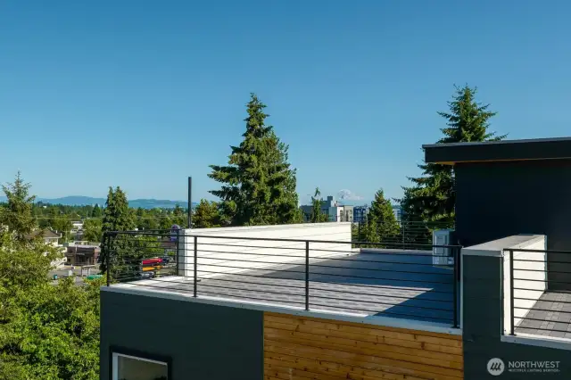 Roof top deck and views great for entertaining