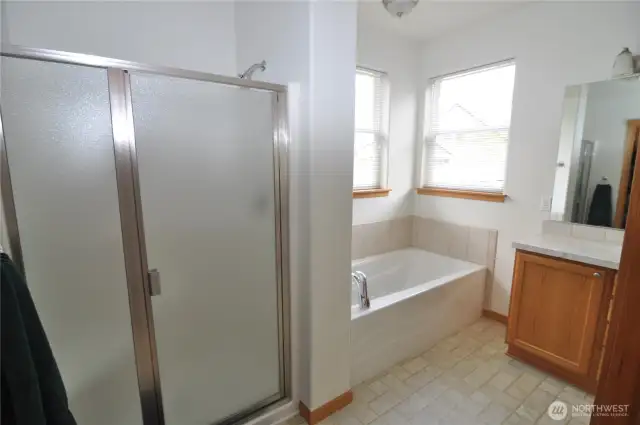 Step-on shower, in addition to a tub.
