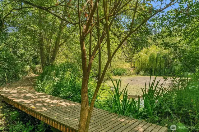 Tranquil pond and bridge.