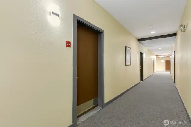Interior hall and entrance to unit.