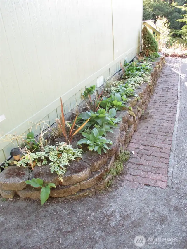 A little garden area for fun