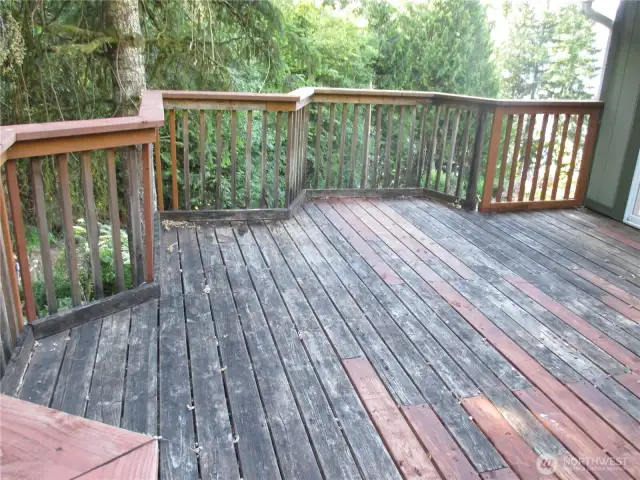 Large back deck
