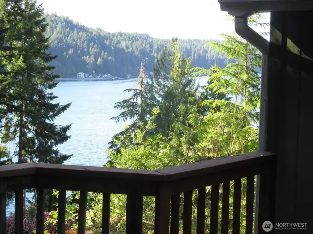 Back Deck