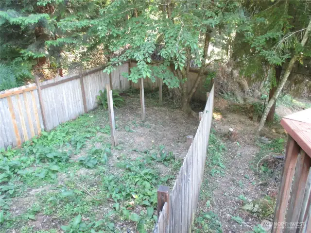 Great little area fenced off for pets