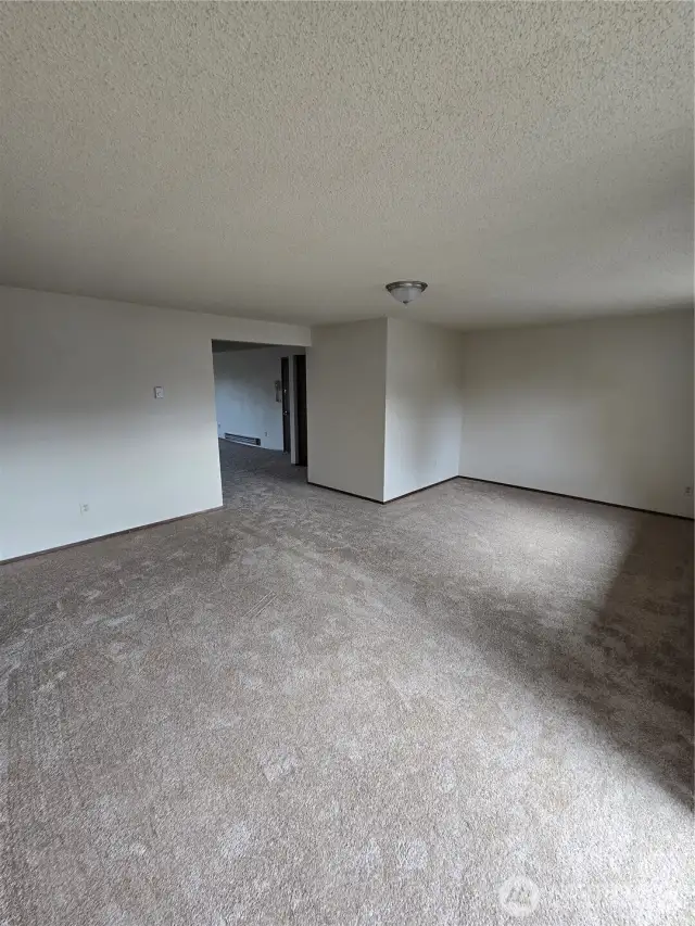 Bonus/Family room