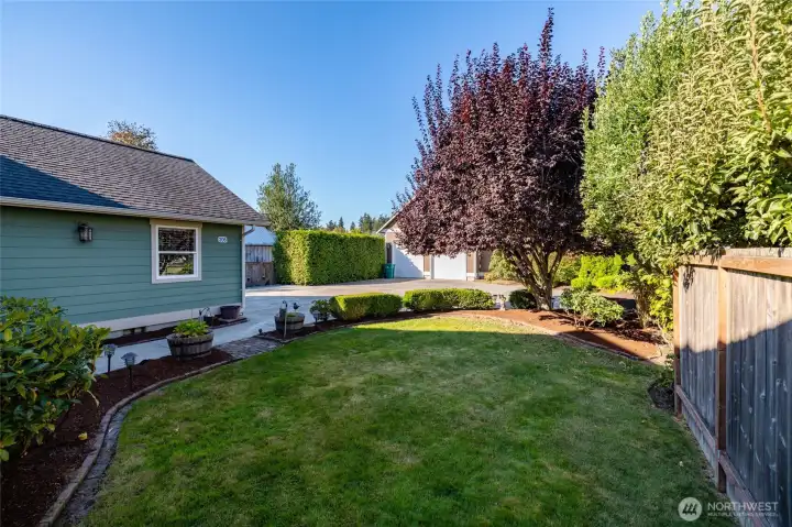 Front yard area.