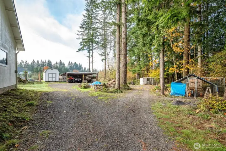 Driveway to Carport