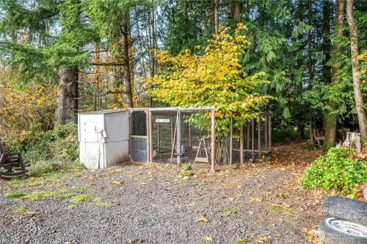 Chicken Coop