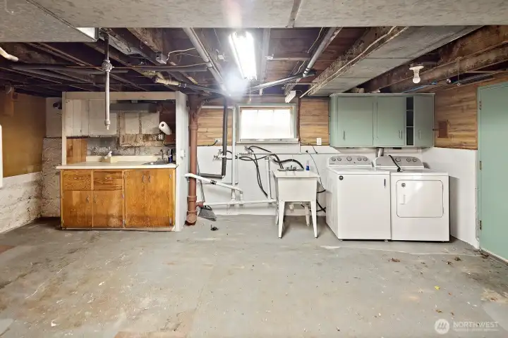 Unfinished basement with access to the rear yard.