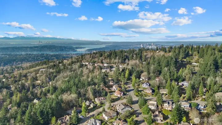 With convenient freeway access to downtown Bellevue and seattle via I-90, you are so close yet so perfectly removed.