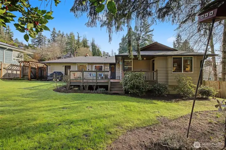 Expansive backyard with a broad lawn and open sightlines, creating a peaceful, park-like setting behind the home.