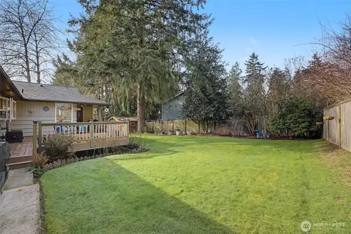 Private outdoor setting framed by mature trees and fencing, offering a quiet, tucked-away feel with room to relax or play.