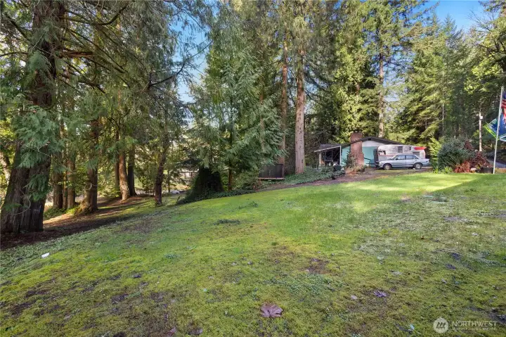 Tons of potential-what would you like to do with all of these options?