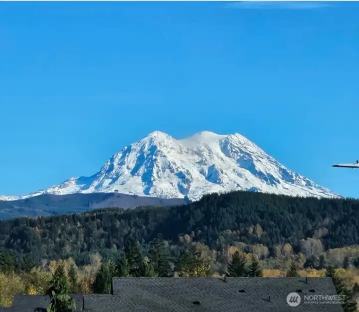View from primary bedroom.