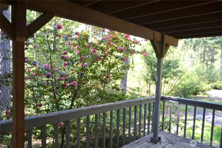 Large covered deck on Lot #56