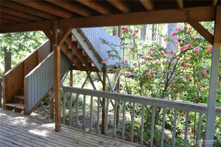 Large covered deck on Lot #56