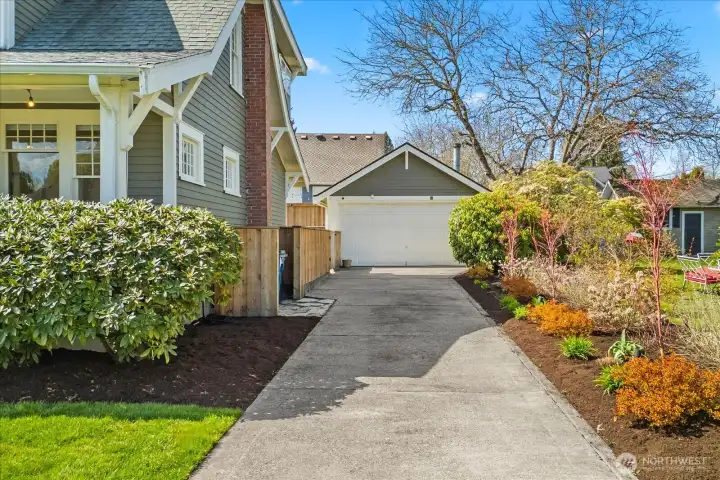 Driveway on the north side of the house.