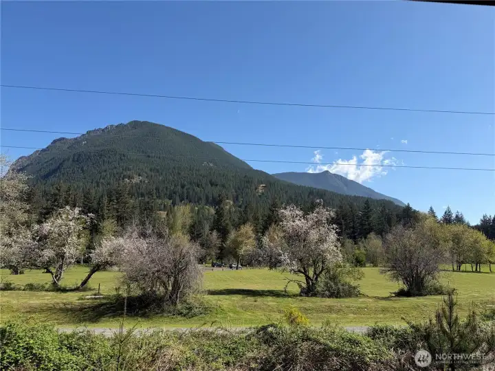 Views from your windows