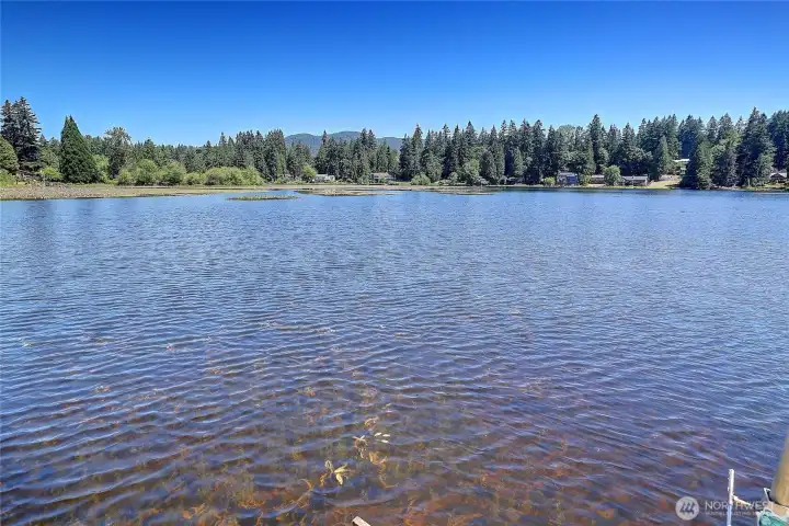 Anyone want to take a dip in the lake to cool off?
