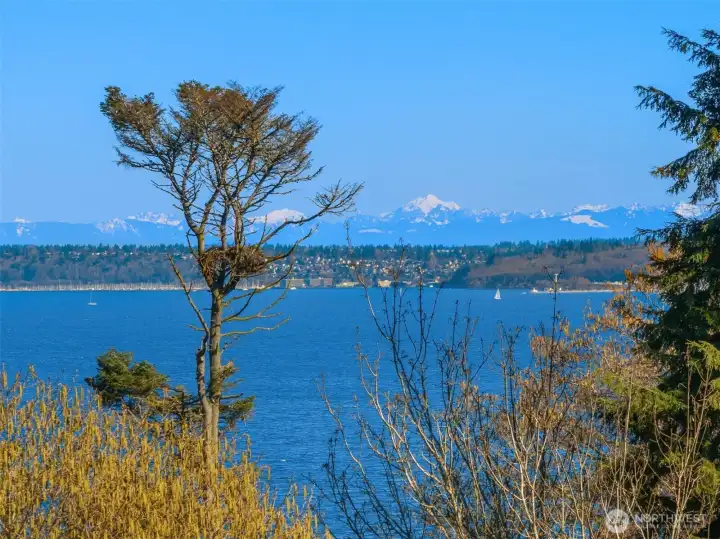 Single Story 3 bedroom home with a view in a private waterfront community adjacent Wing Point. Single Story 3 bedroom home with a view in a private waterfront community adjacent Wing Point.