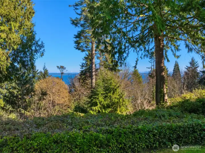 Insane view potential! Insane view potential!