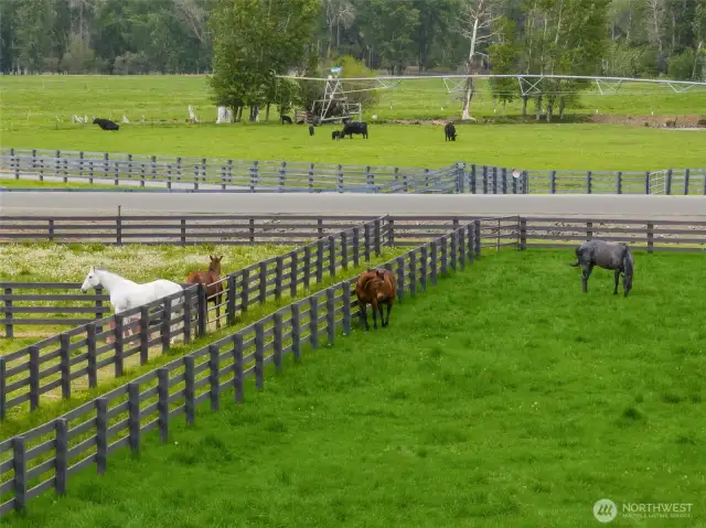 The property is surrounded by a working cattle ranch, protecting the privacy and serenity of the estate.