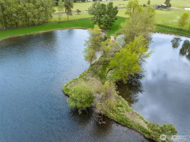 River-fed pond supplies generous irrigation water to the property as well as tranquility, fun and fishing!