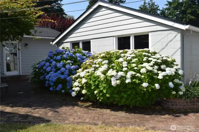 Cottage Entry and 2 Car Garage Shop Area