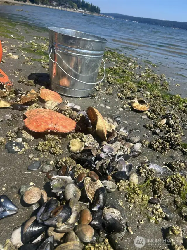 Ocean's Bounty