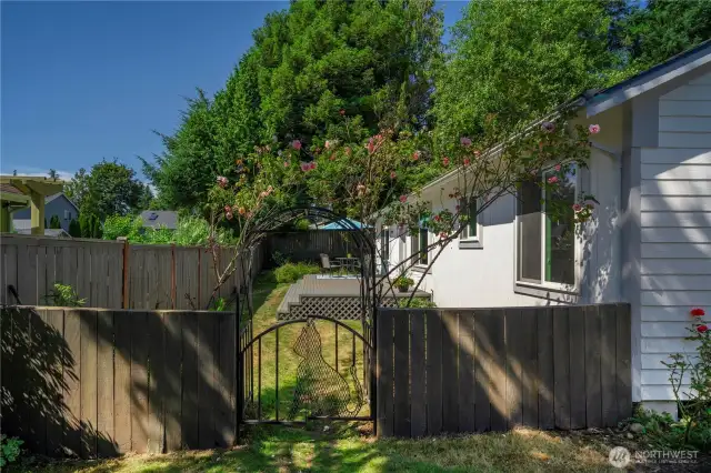 The rose arbor leads to the fully fenced back yard