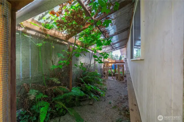 Custom catio can stay or go