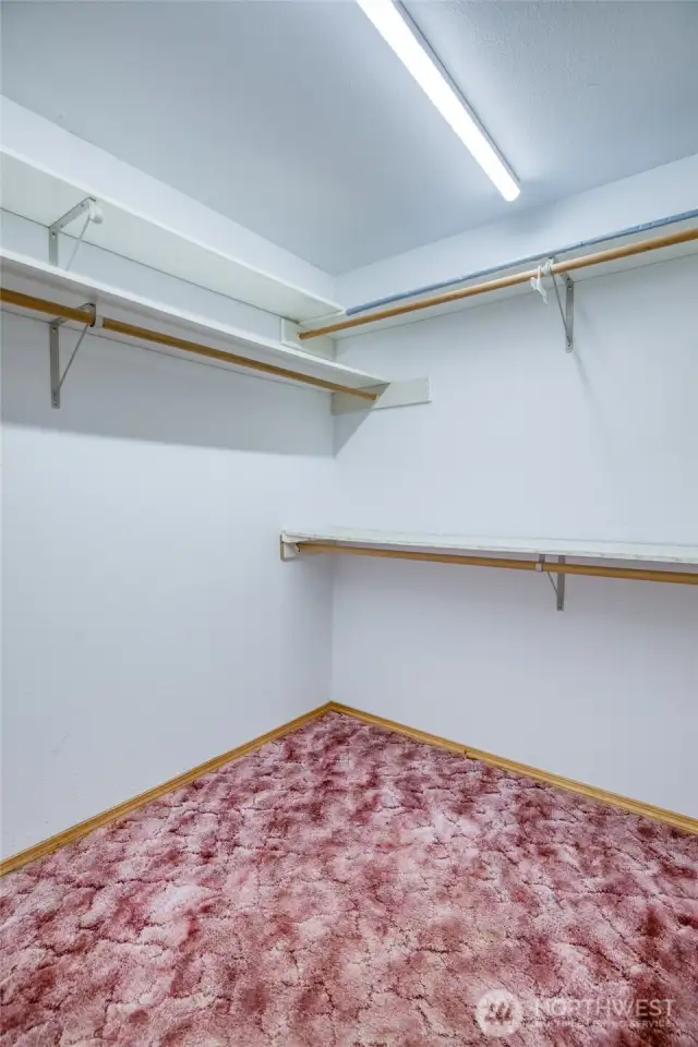 Large walk-in closet