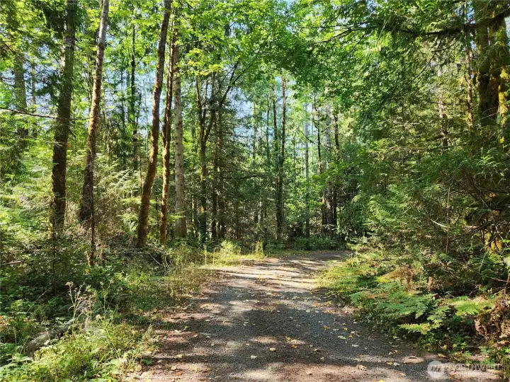 Part of the driveway into property