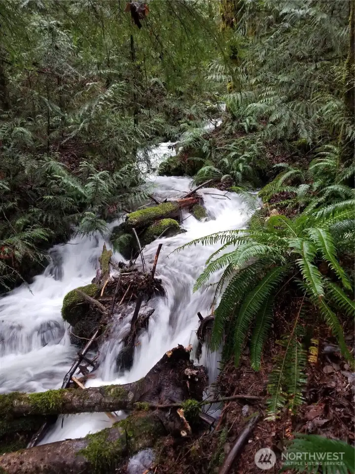 creek in winter