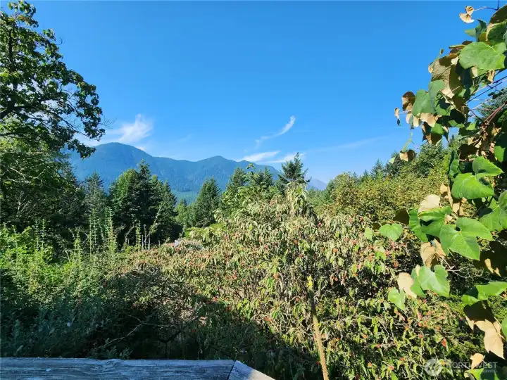 View from the porch