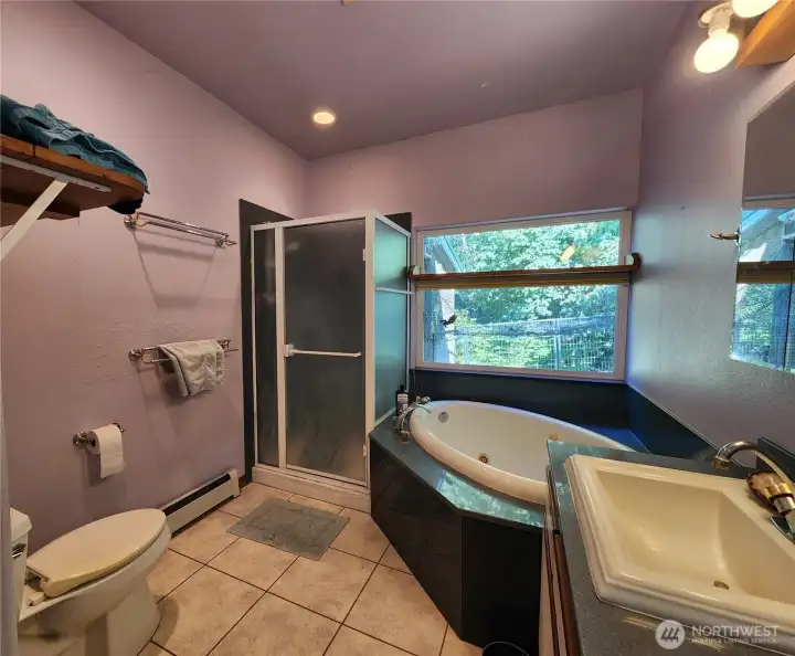 Main Home full bathroom with jetted tub and views out to the forest