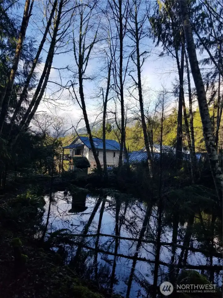 pond with ADU in the background