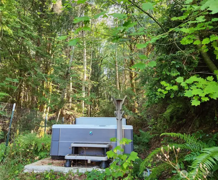 Newer salt water hot tub nestled in the forest