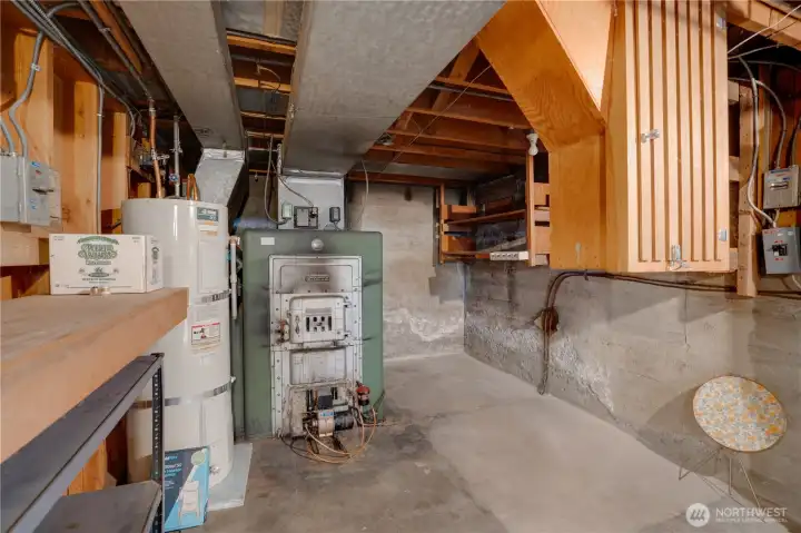 Storage Area in Basement