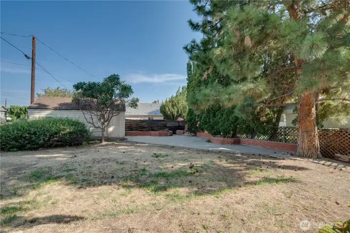 Back Yard