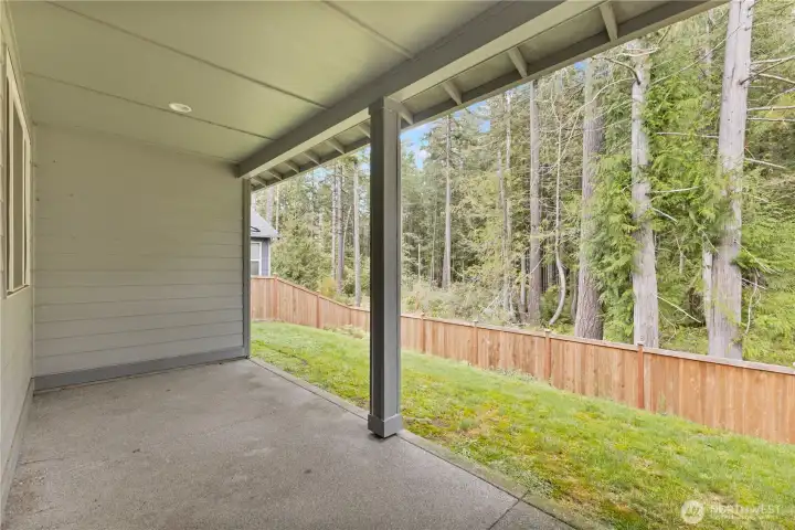 Back Patio