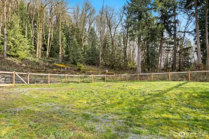 Fenced area of the backyard
