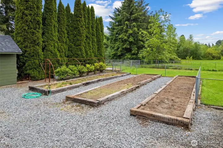 Enjoy 6 blueberry bushes and 3 oversized raised garden beds.