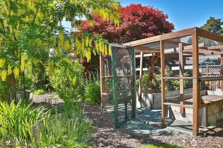 Fenced berry gardens!