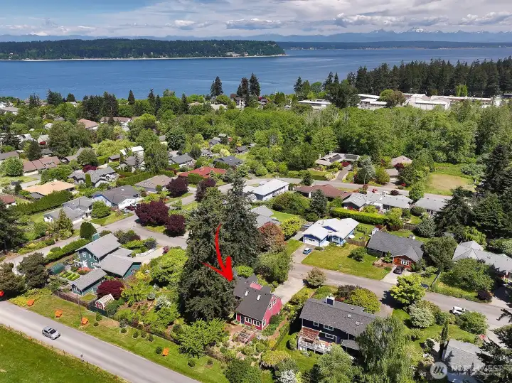 Excellent location with great walkability to Langley's shops, restaurants, art galleries, theaters, parks, beaches and museums. Note the two grand firs!