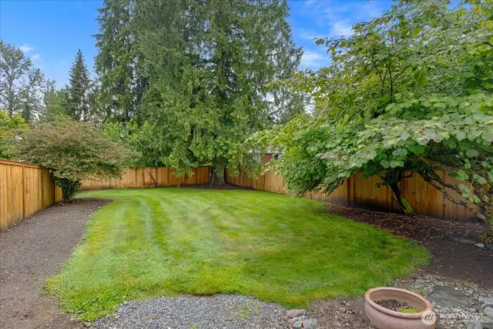 The backyard extends even past the fence.